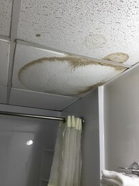 Bathroom ceiling