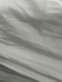 Hair in the bed