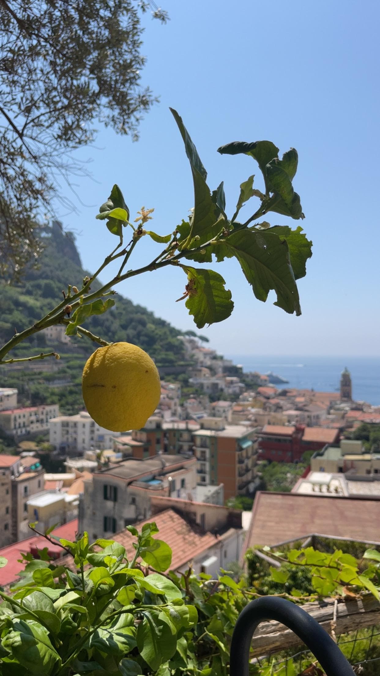 View from our terrace 