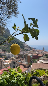 View from our terrace