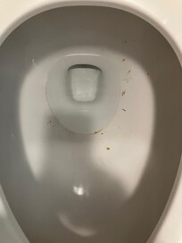 First view of the toilet