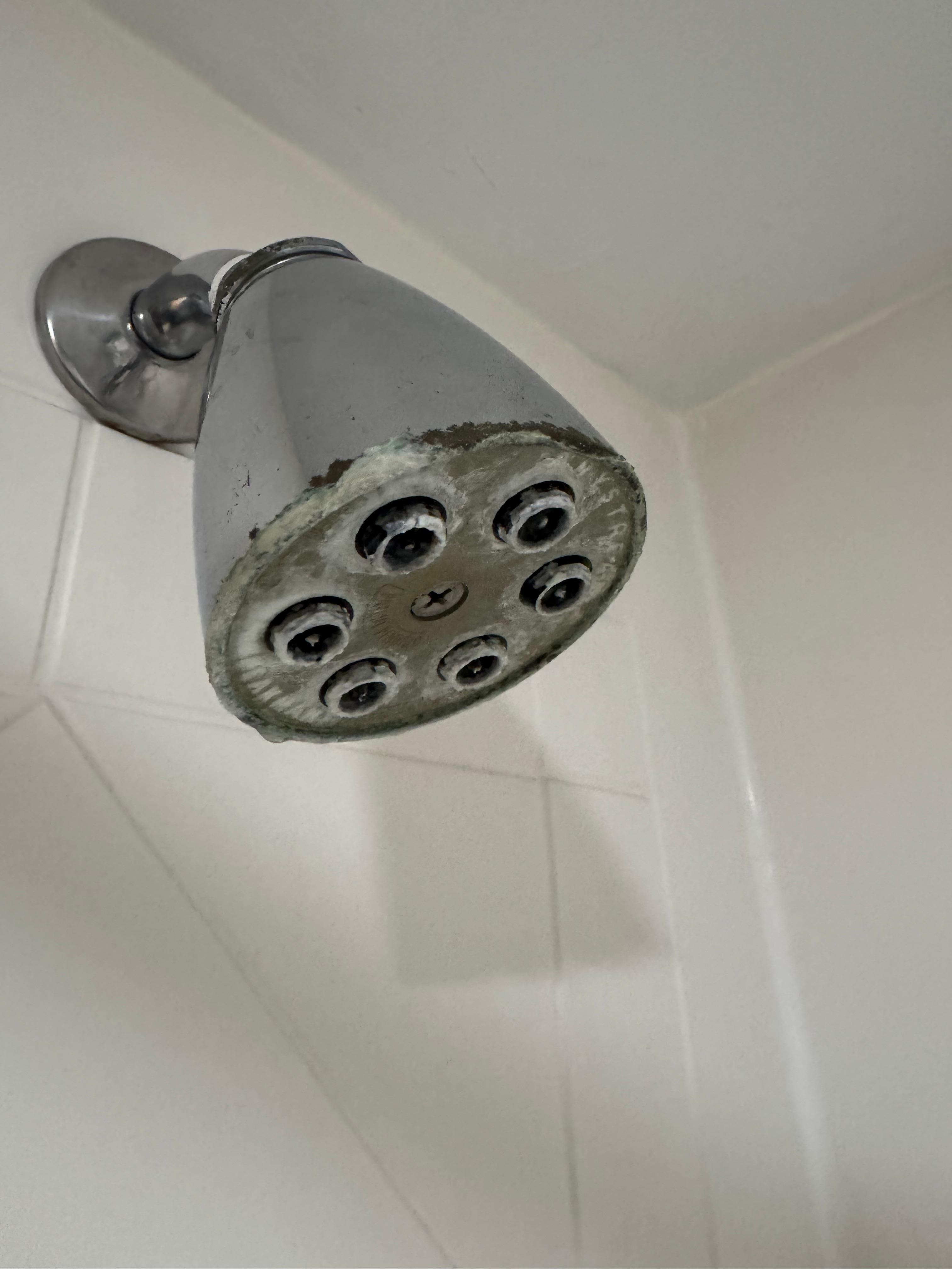 Disgustingly corroded shower head 