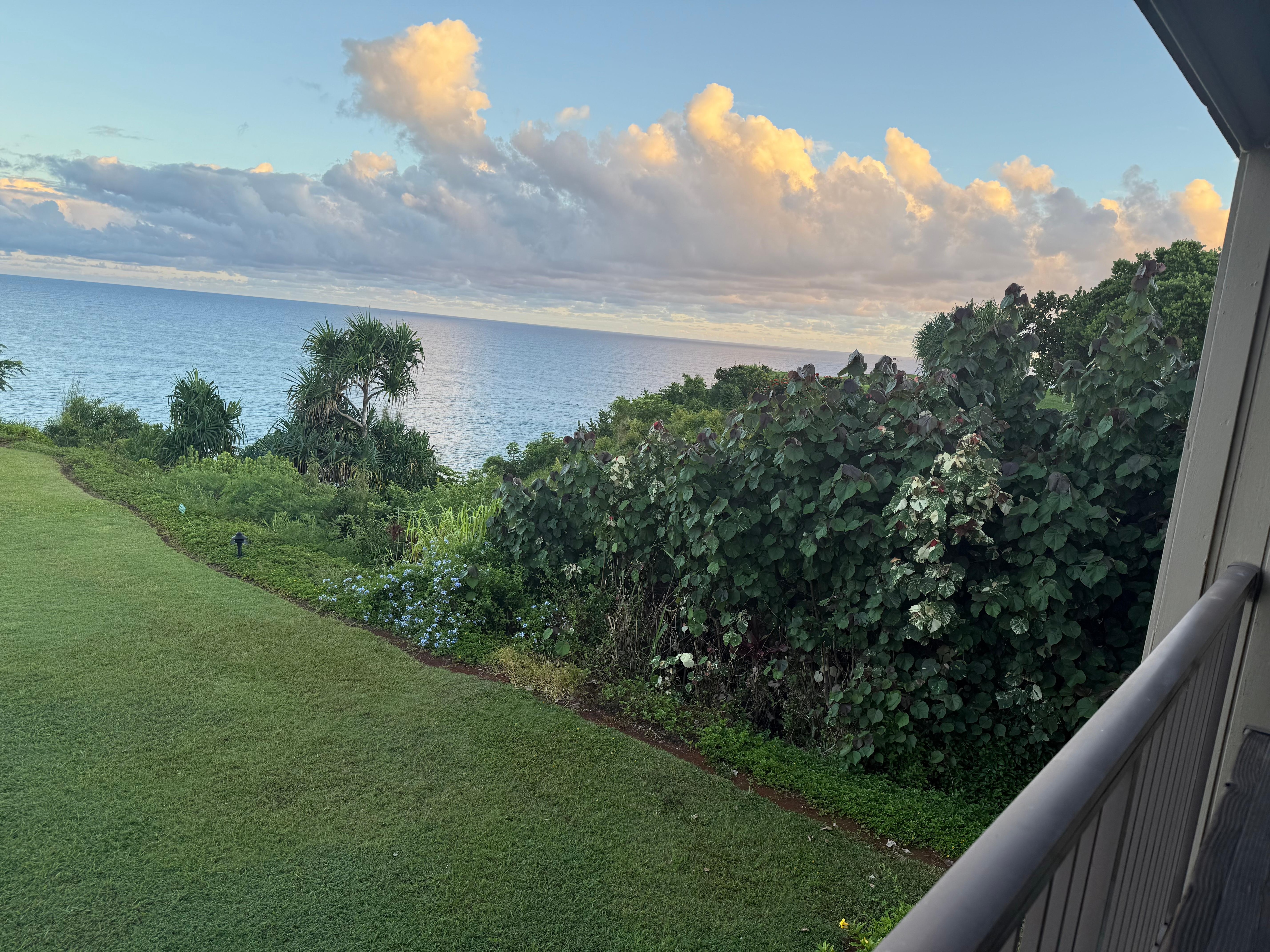 Another beautiful morning!