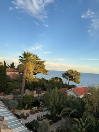 The view