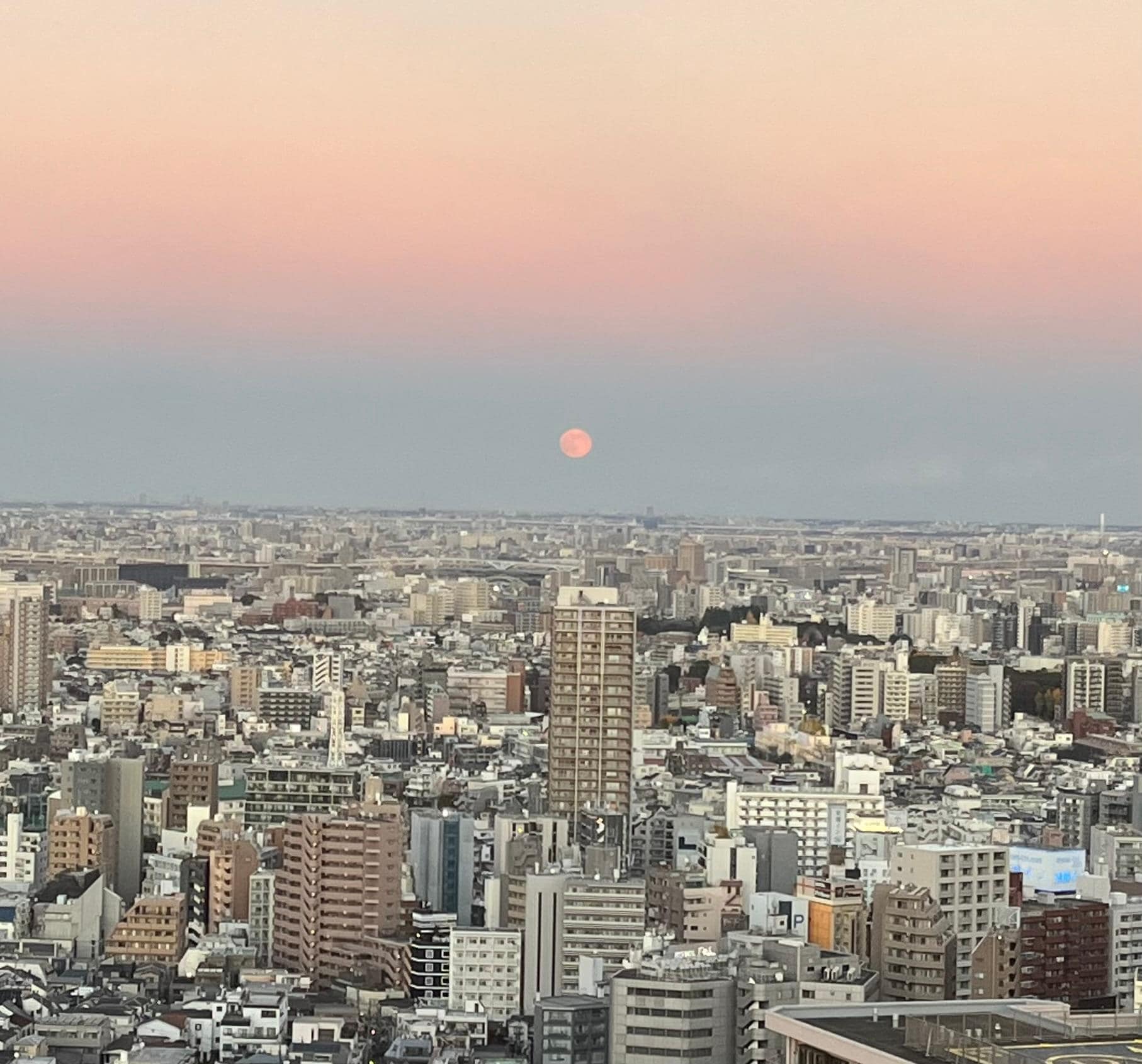 お部屋から見た月（登り始めるところ）