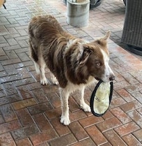 Jax