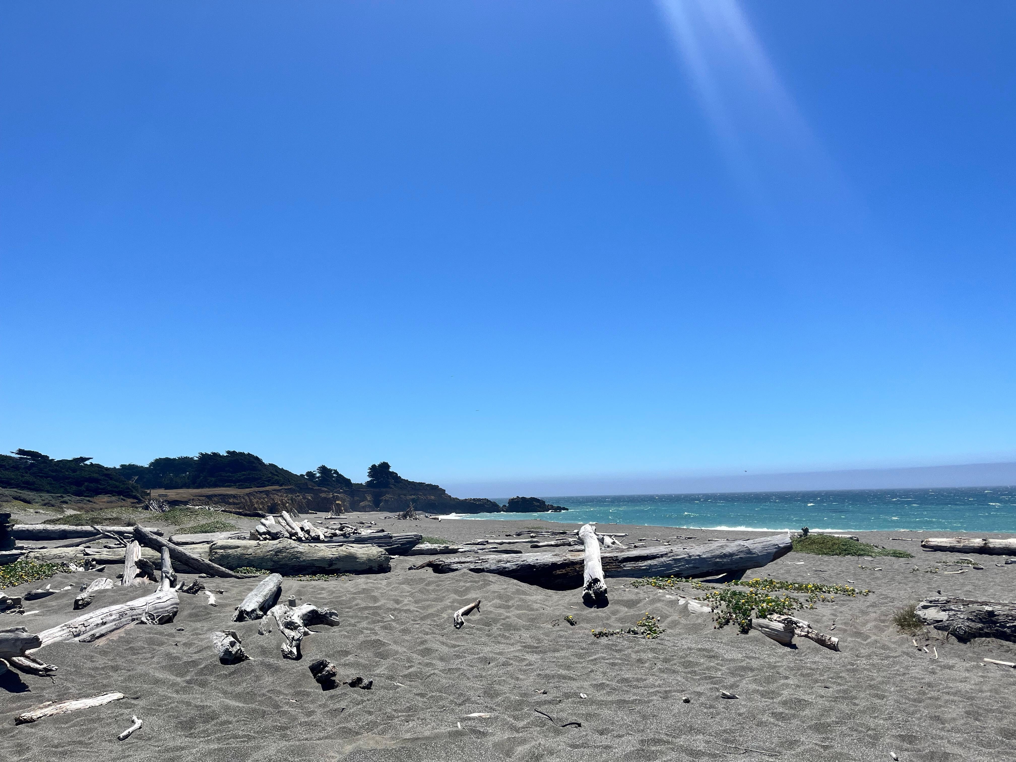 Gualala Regional Park is our favorite.  