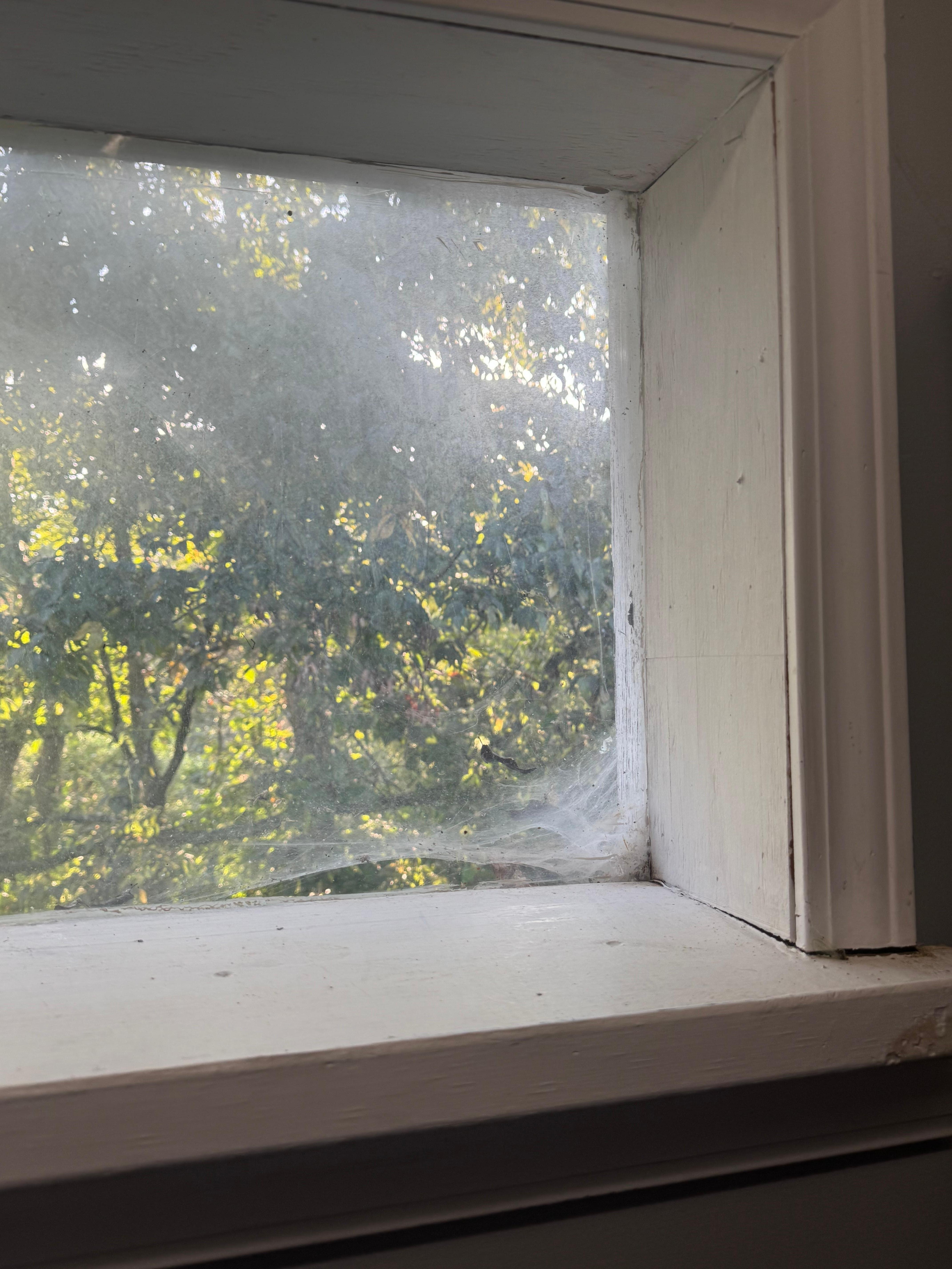 Cob webs on the outside.  