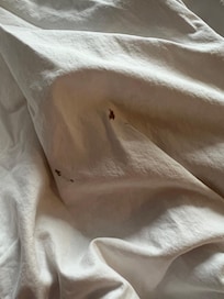 Blood found on blood sheets