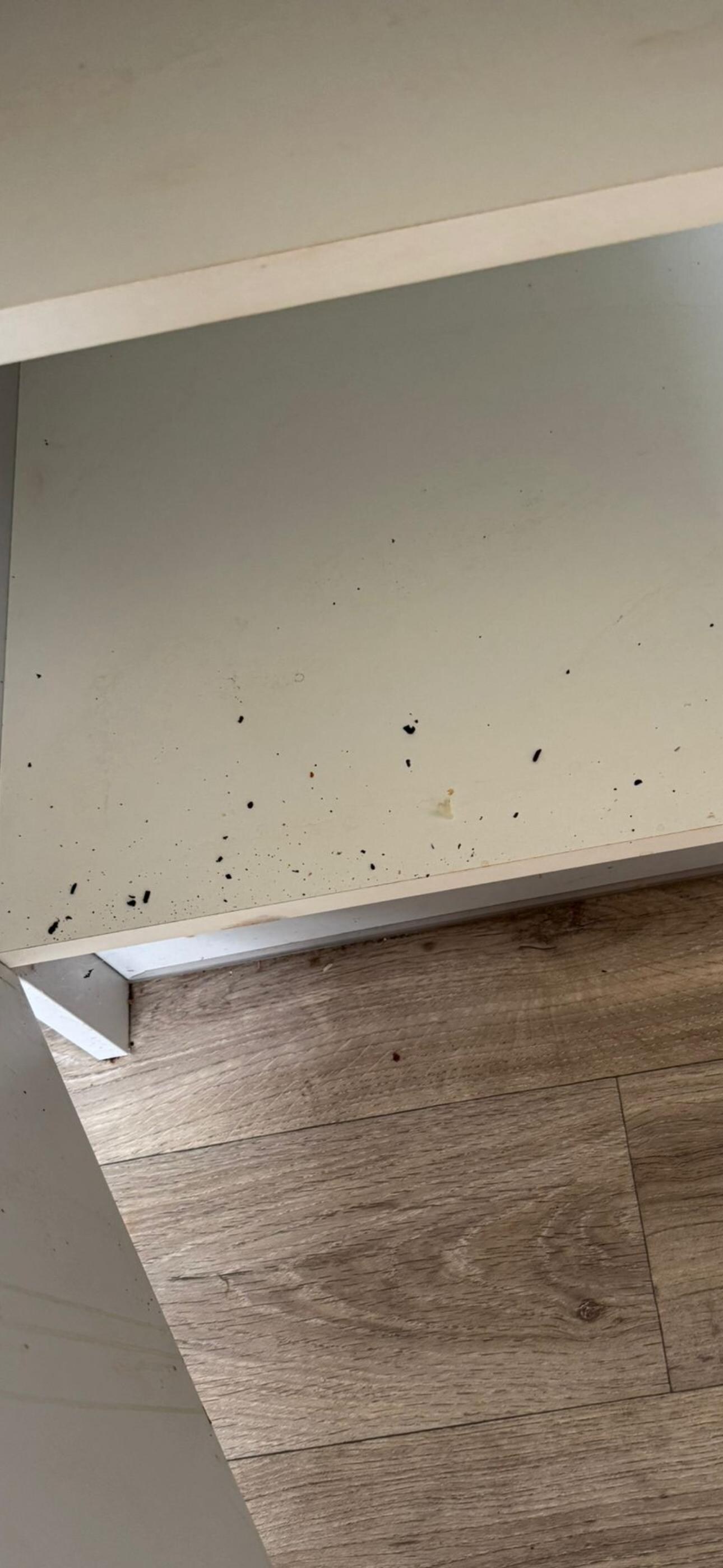 Kitchen cupboard 