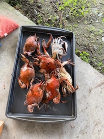 Go to Brauns for great crab