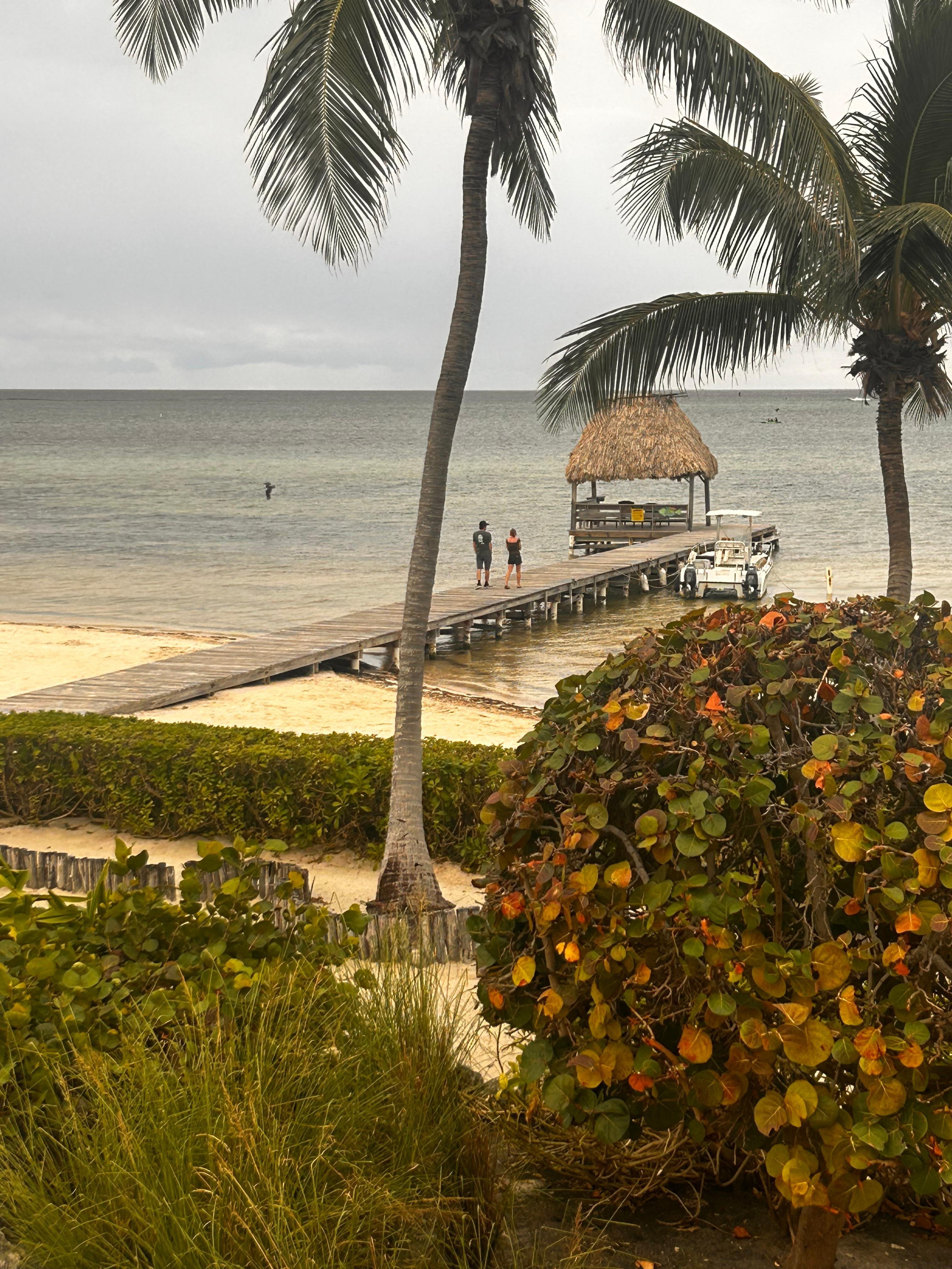 View from 2nd story deck. 