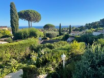 View from house patio