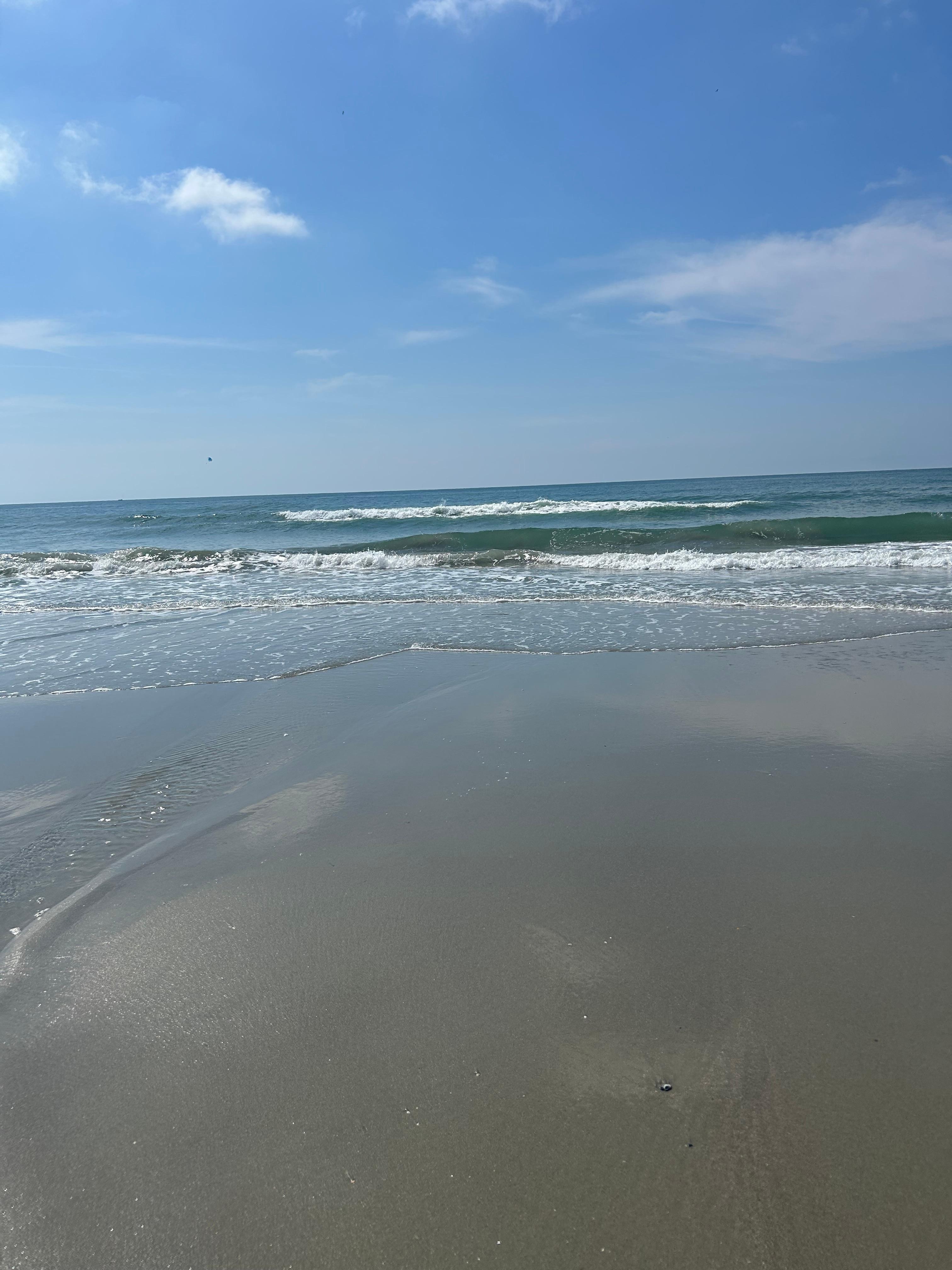 Ocean view