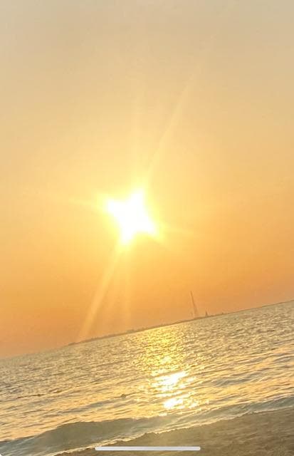 Coucher du soleil sur la palme