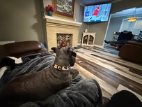 The living room is comfortable