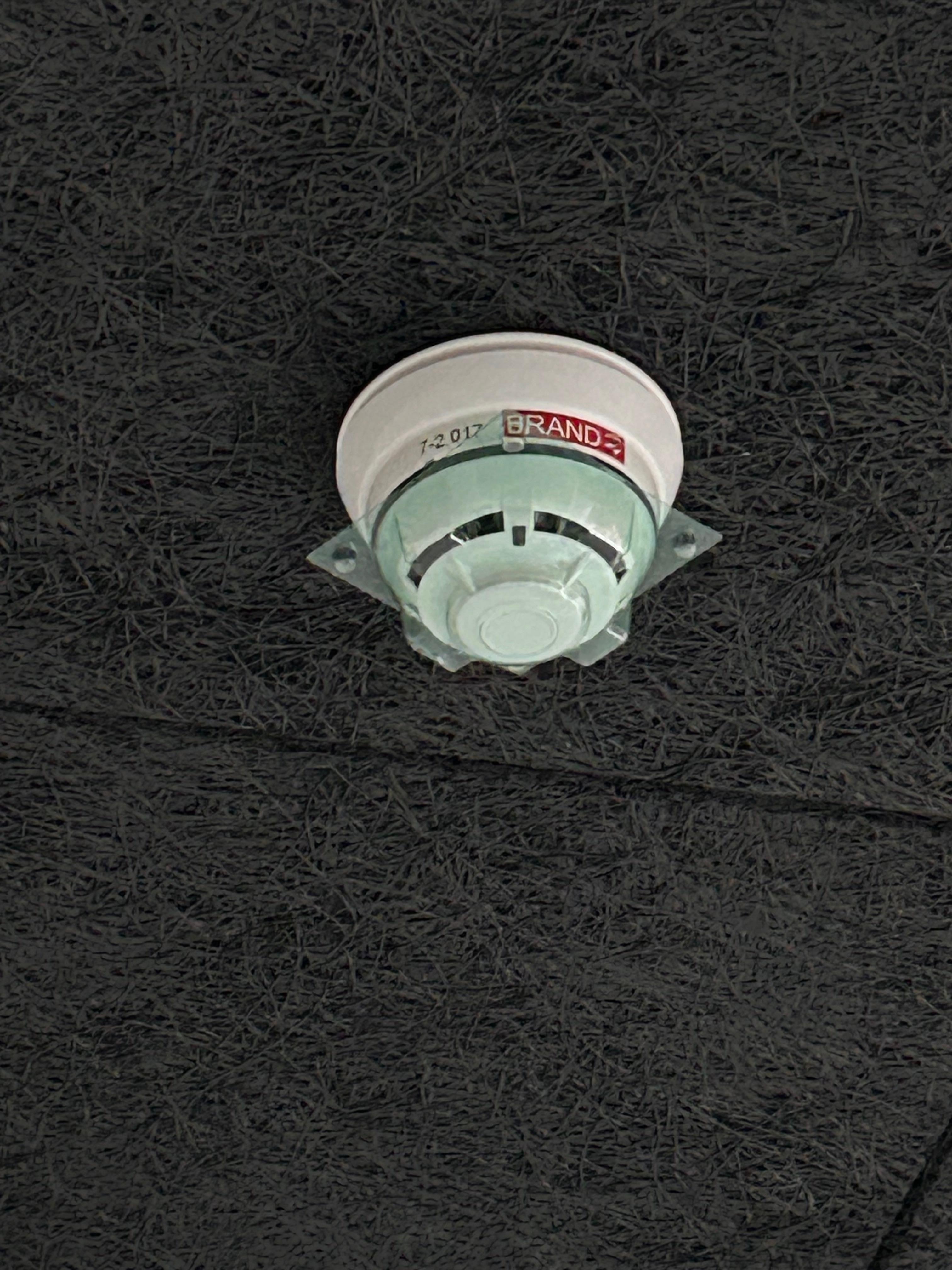 Damit könne sie nicht funktionieren 