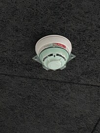 Damit könne sie nicht funktionieren