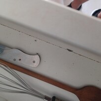 Ameisen in Küchenzeile