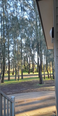 View from or cabin.
