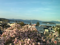 View from room.