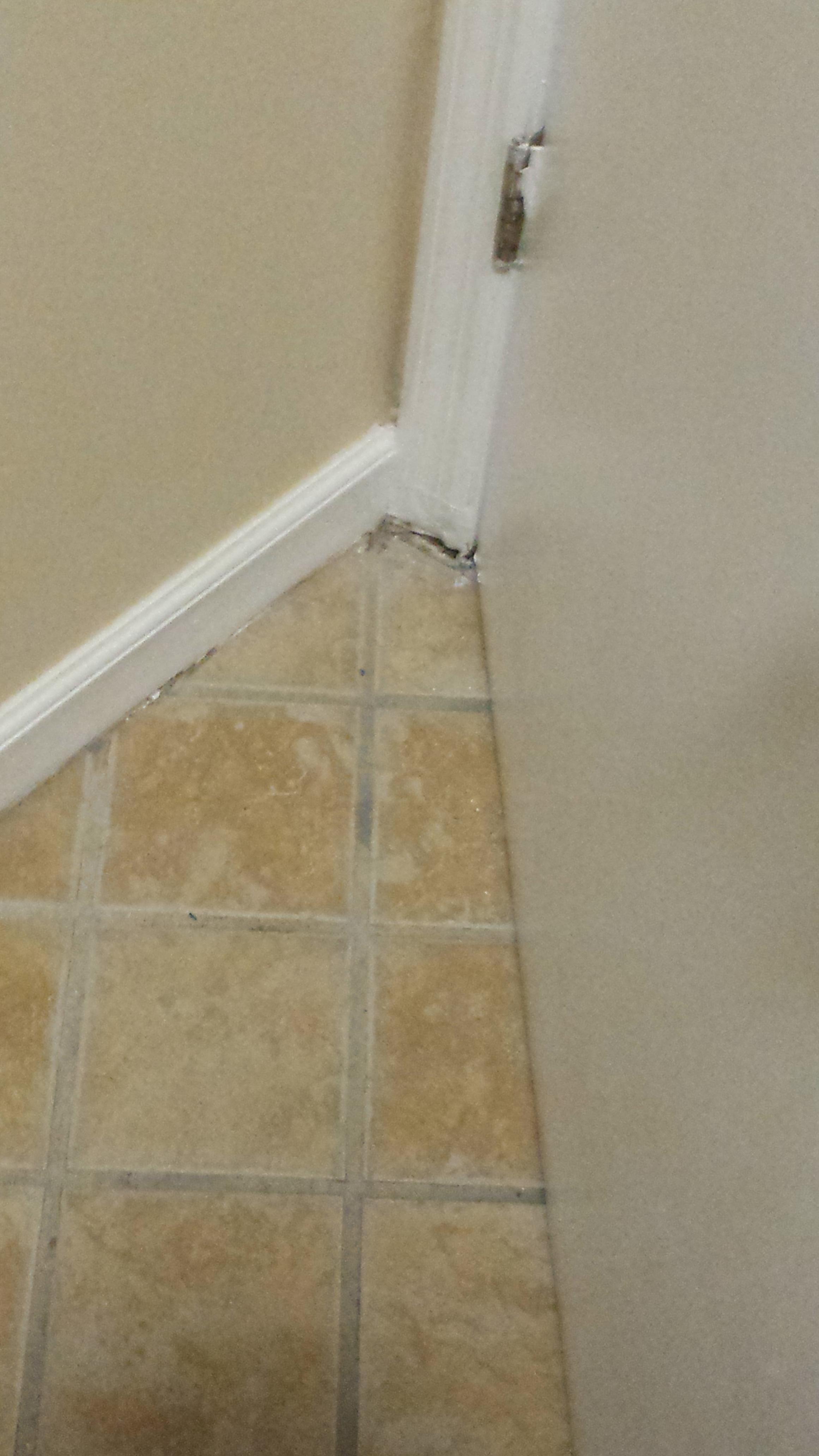 Old shower head that drips all night