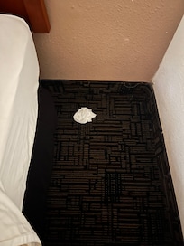Tissues found on floor beside the bed.