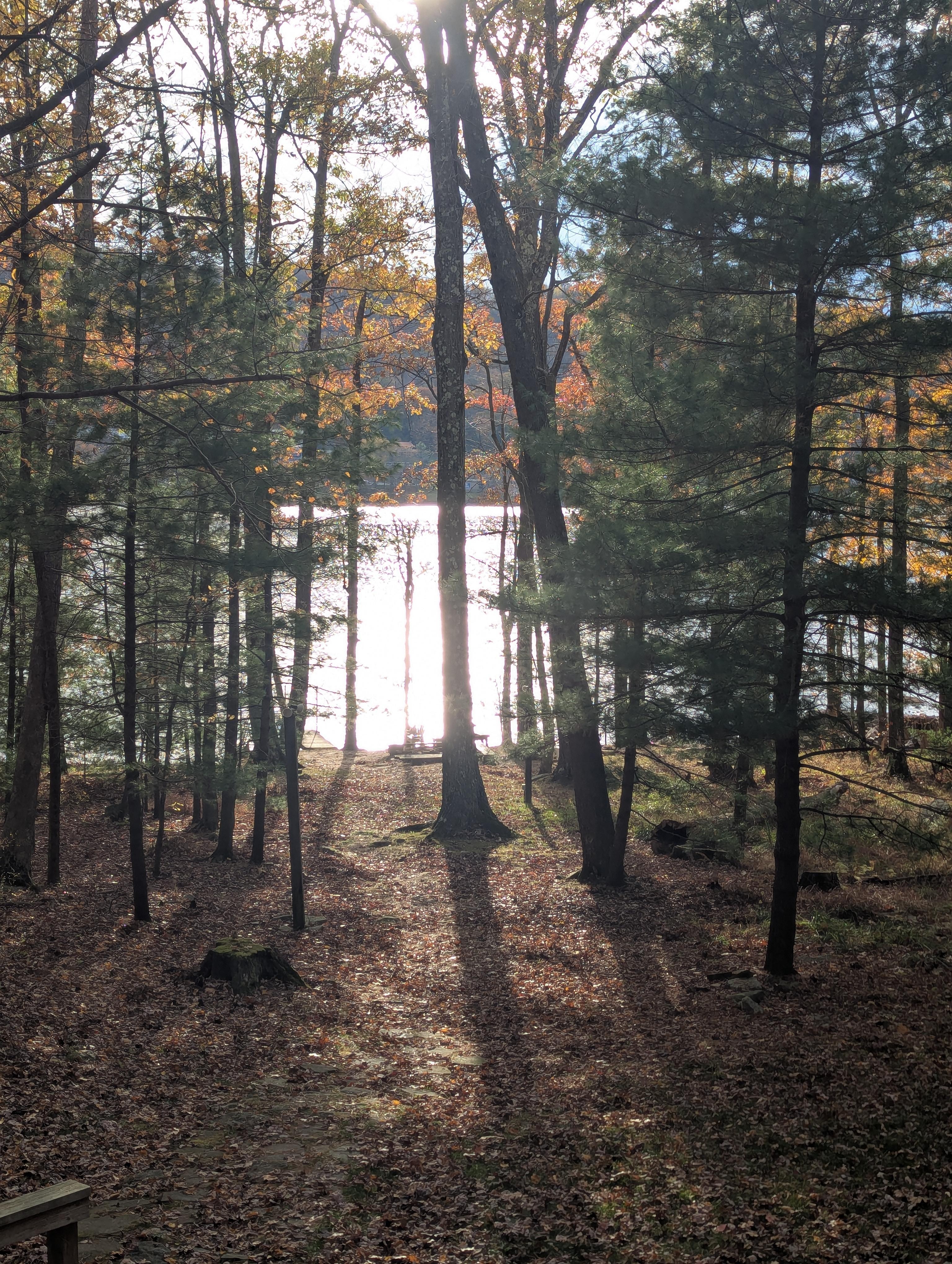 View from back porch. 
