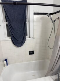 Downstairs Bathroom - Shower