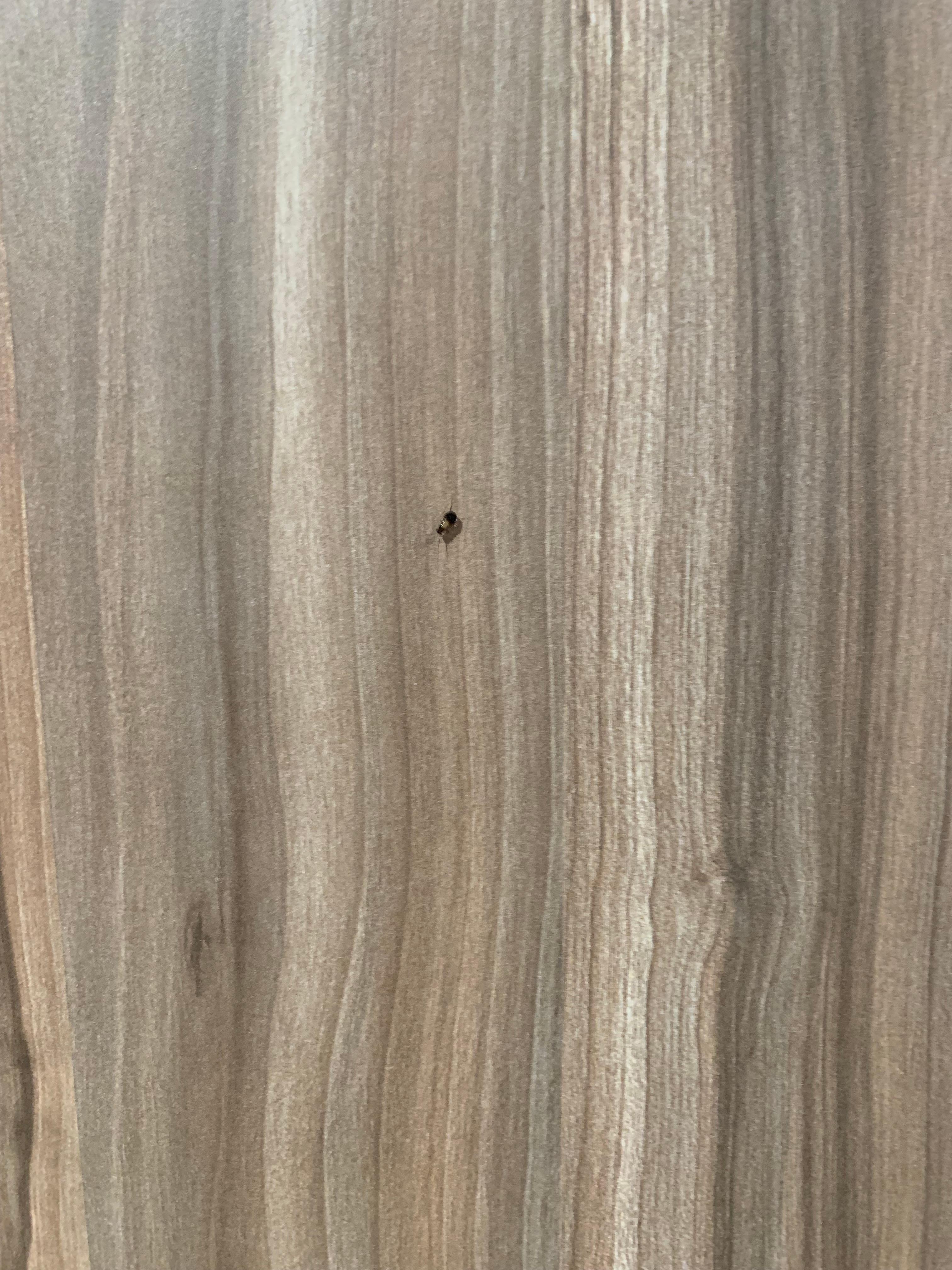 Last one leaving, crawling across the door 