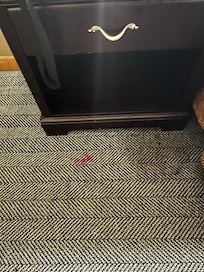 Stained carpet in room and hallways
