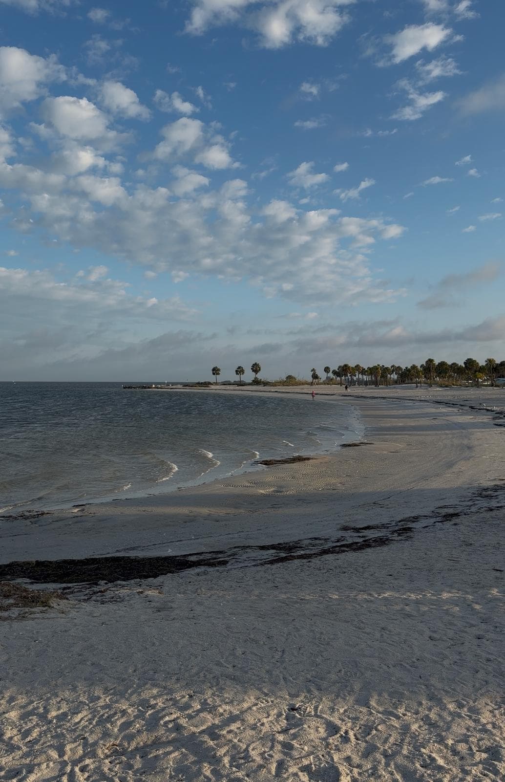 Fred Howard Park only 15 minutes away