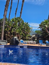 Relaxing poolside