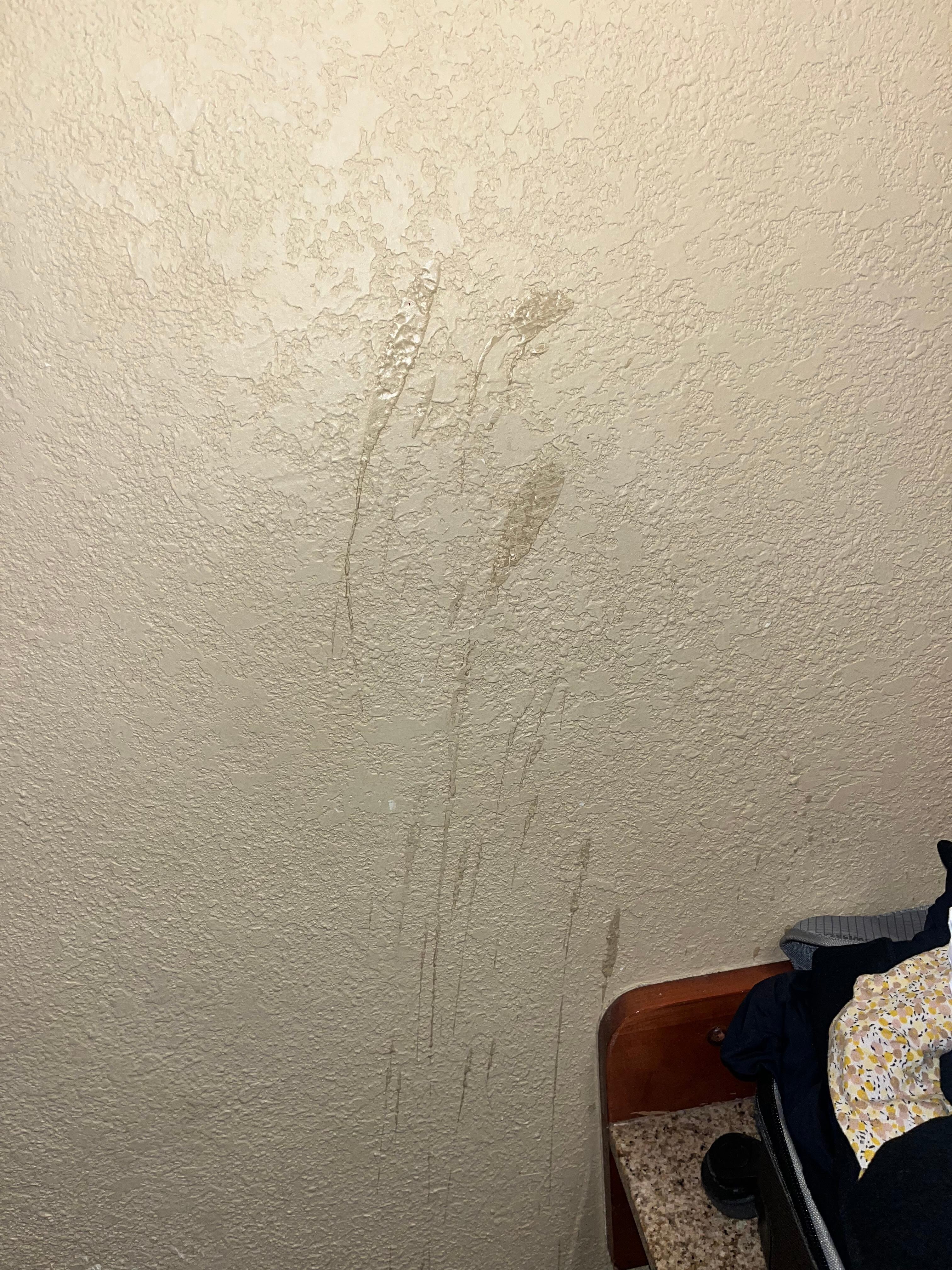 Kitchen wall - one of many examples of how all the walls, doors, etc, needed a good clean