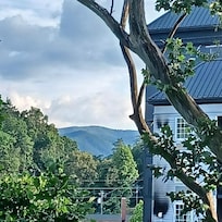 Mountain Views