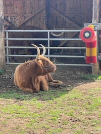 Animal park is a short walk away.