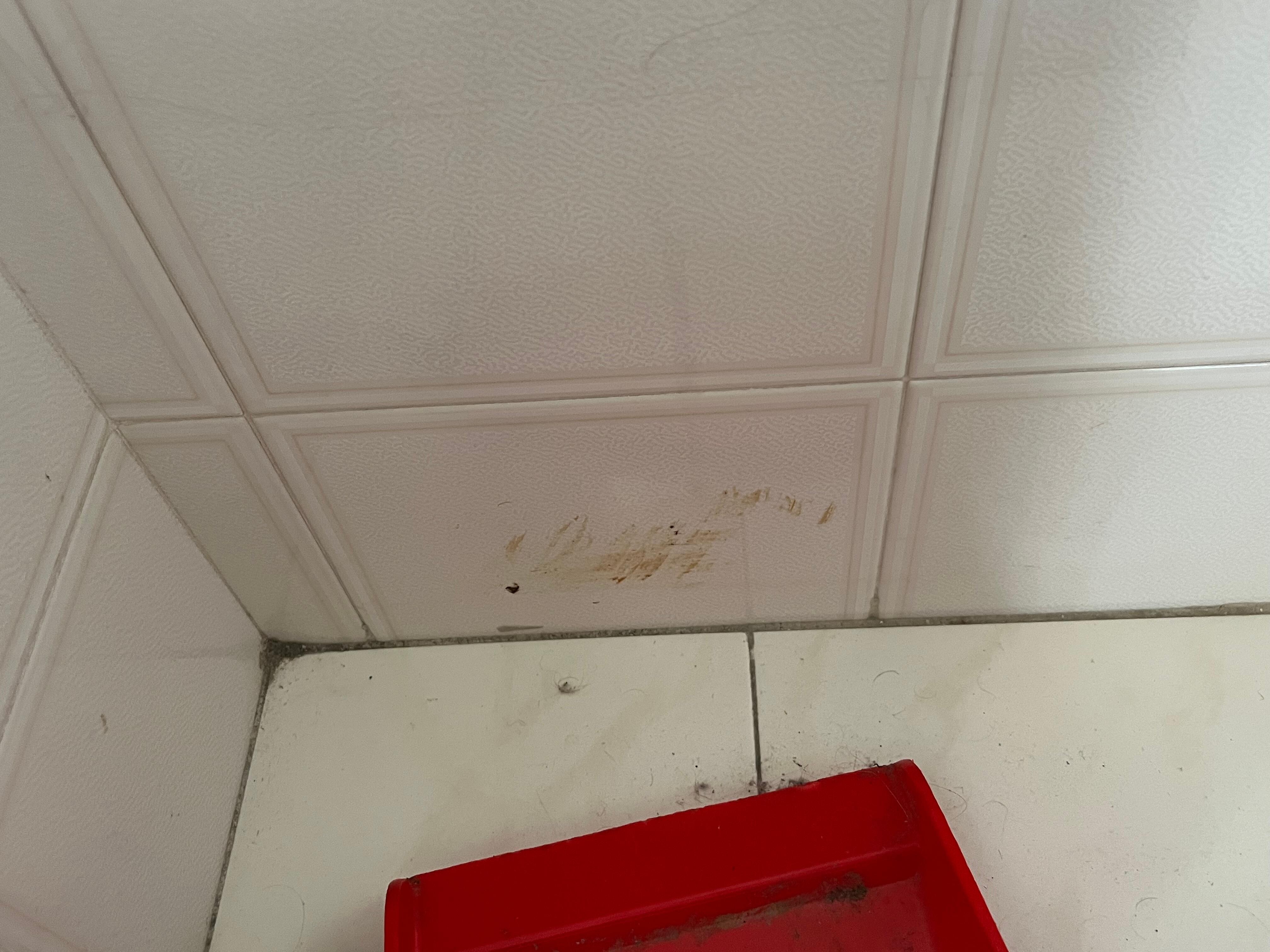 Verschmierte, nicht gereinigte Wand