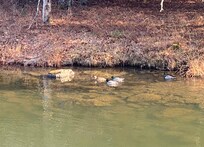 Beautiful views from the deck right on the water