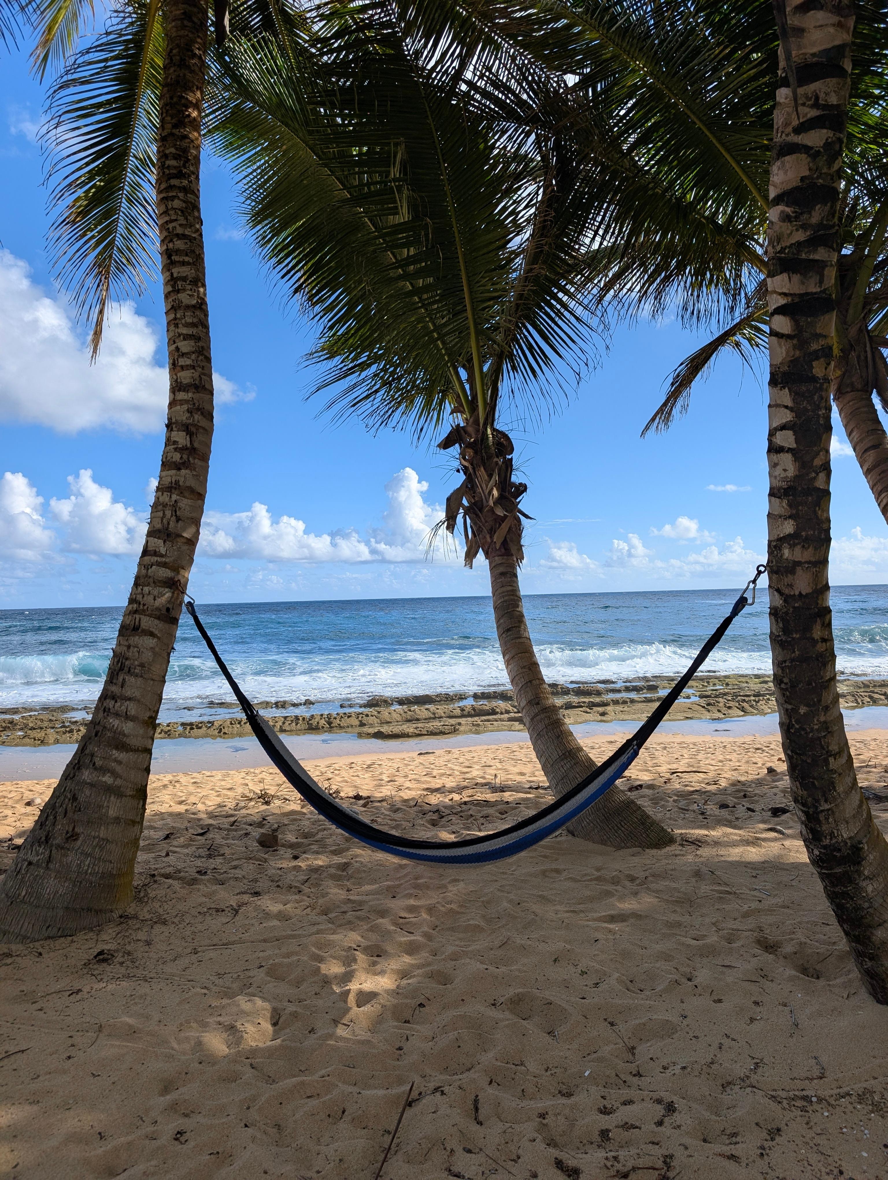 Your hammock (perfect for reading!!)