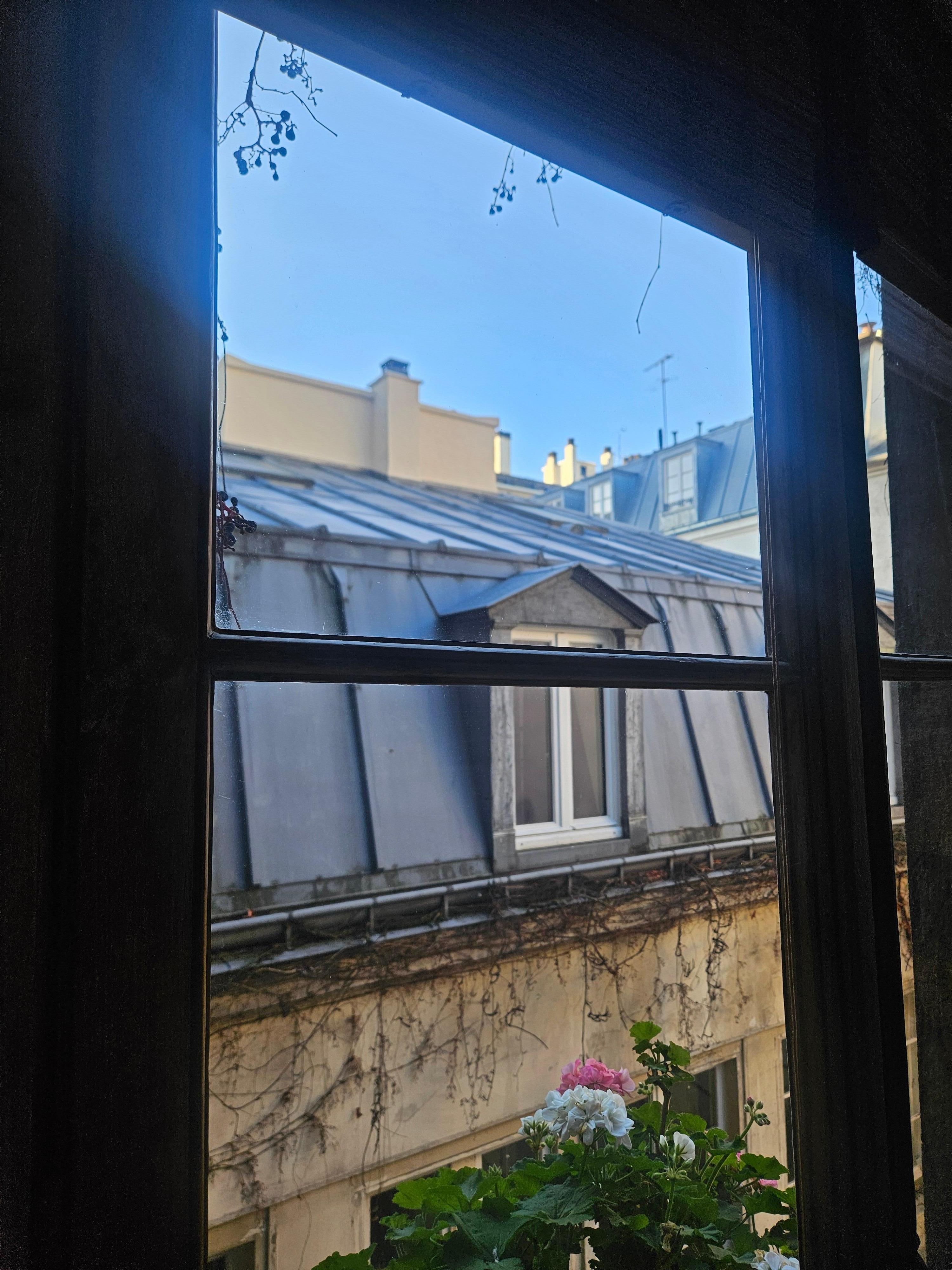 View from kitchen