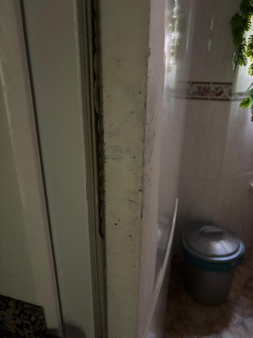 door of the fridge