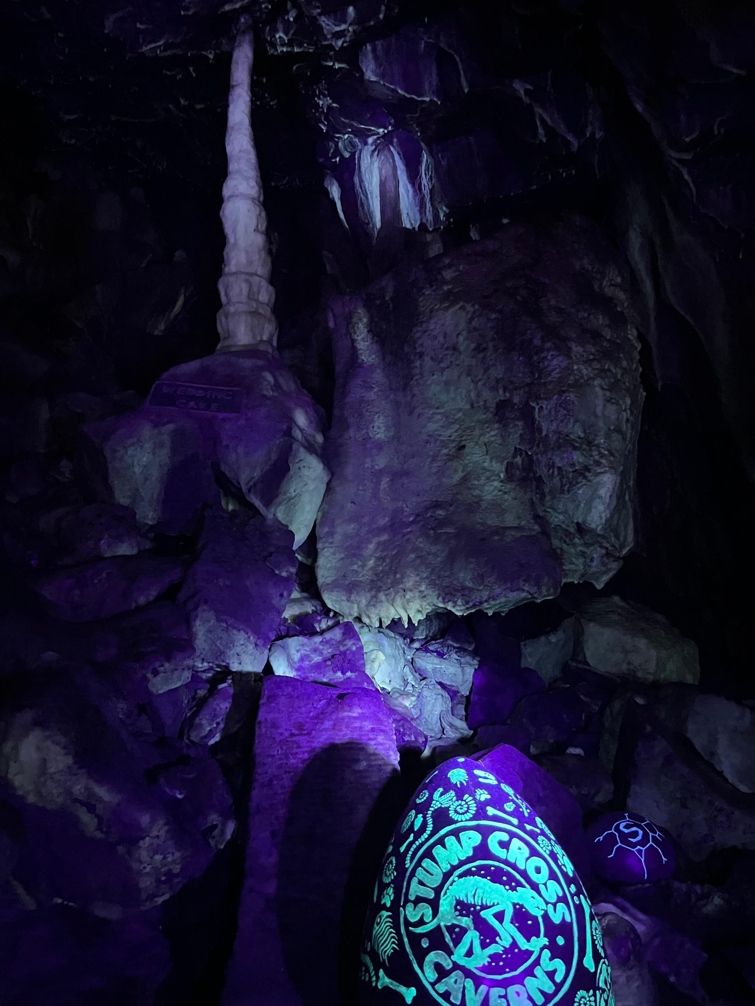 Stump cross cavern after 3pm with UV torches 