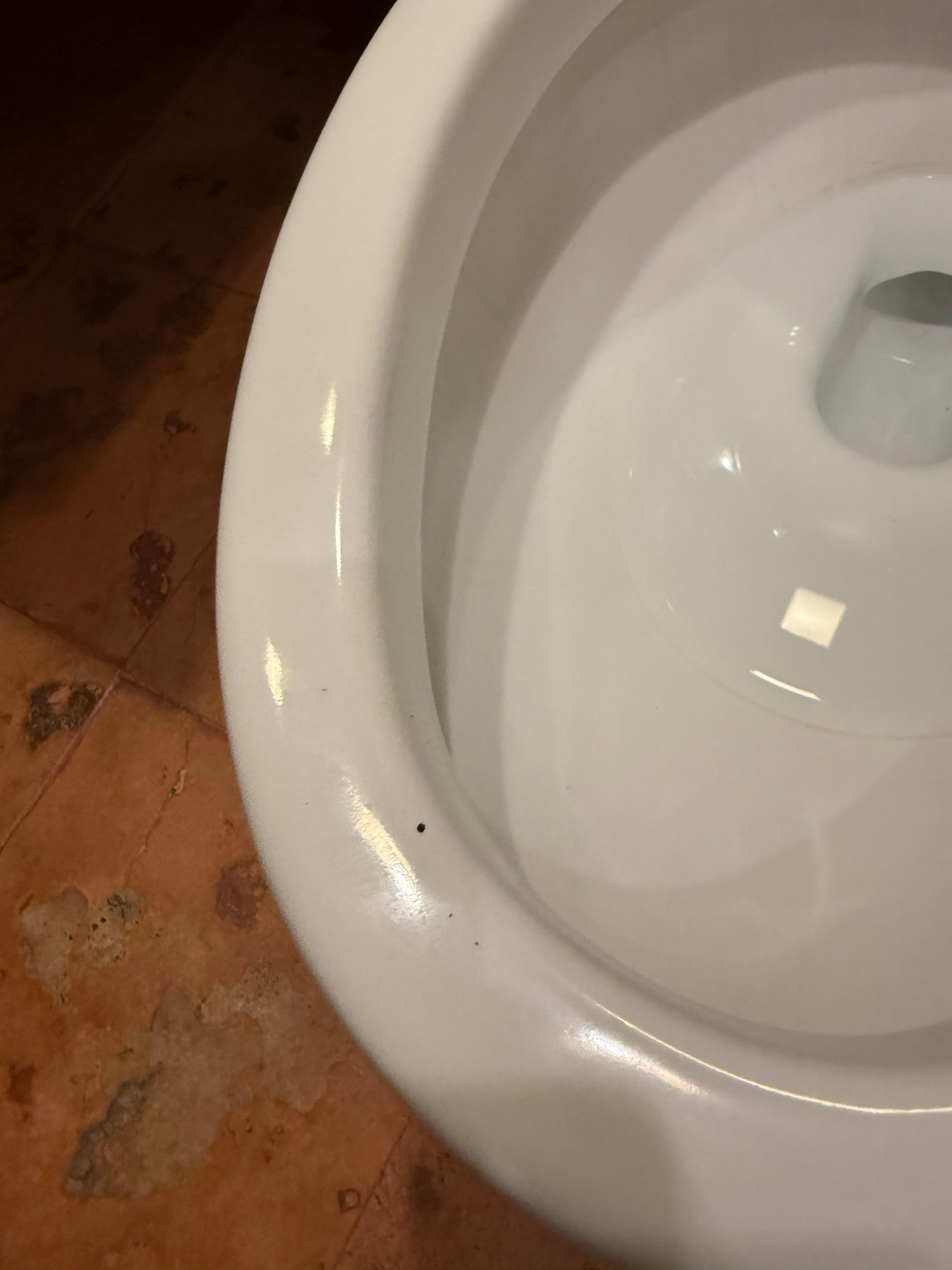 Dirty toilet in second room.