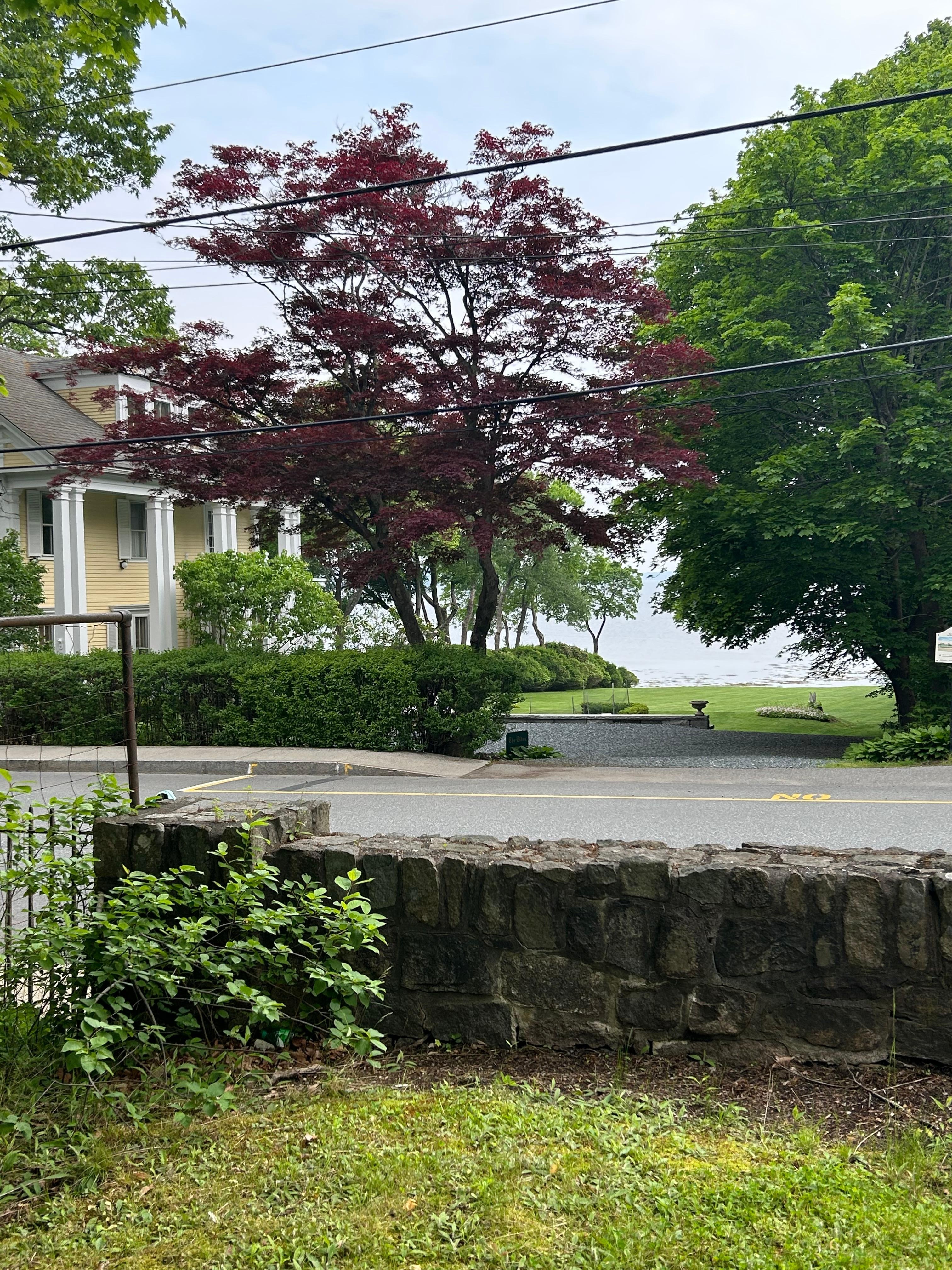 The view from the front porch. 