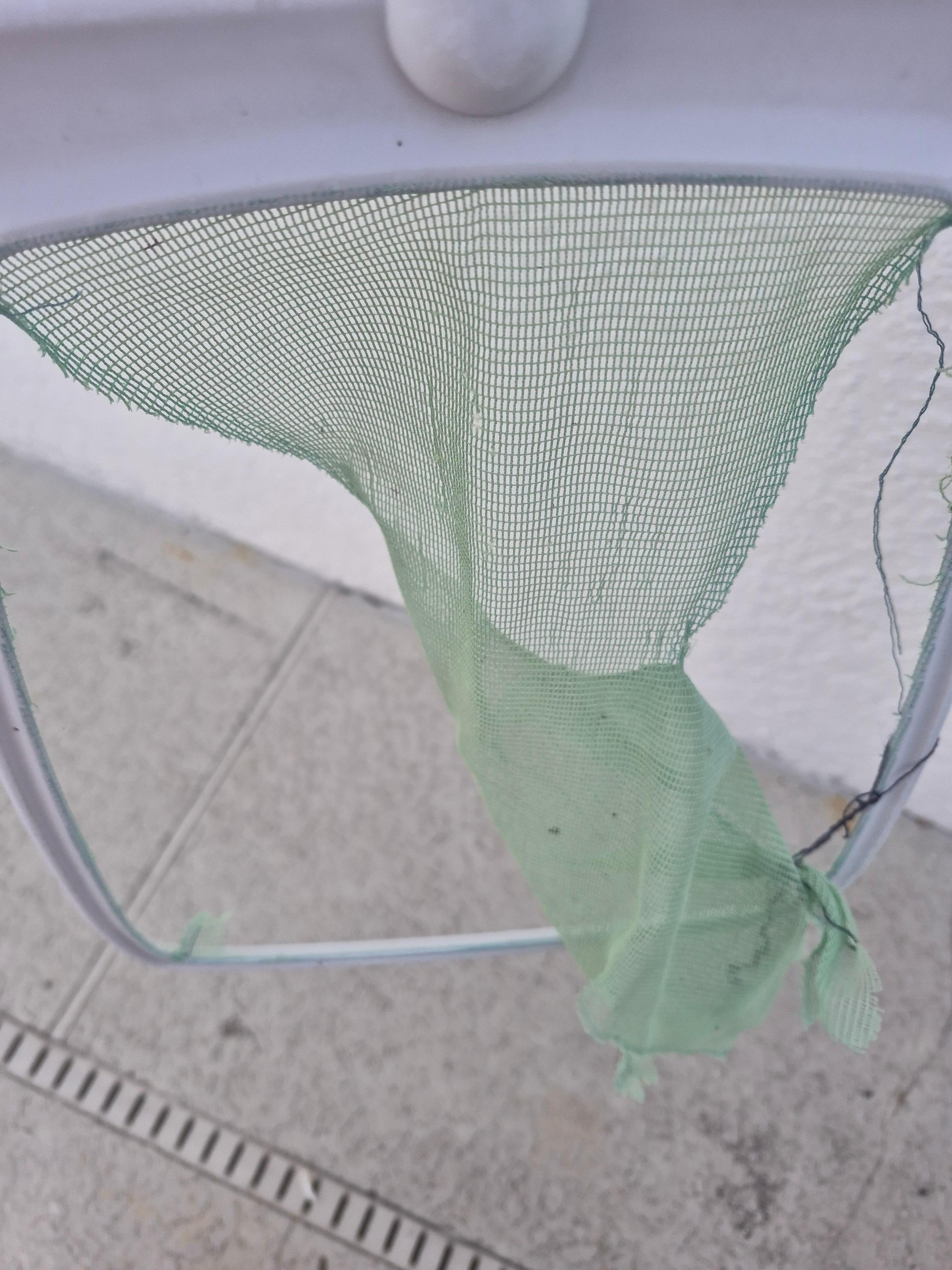 Broken pool net
