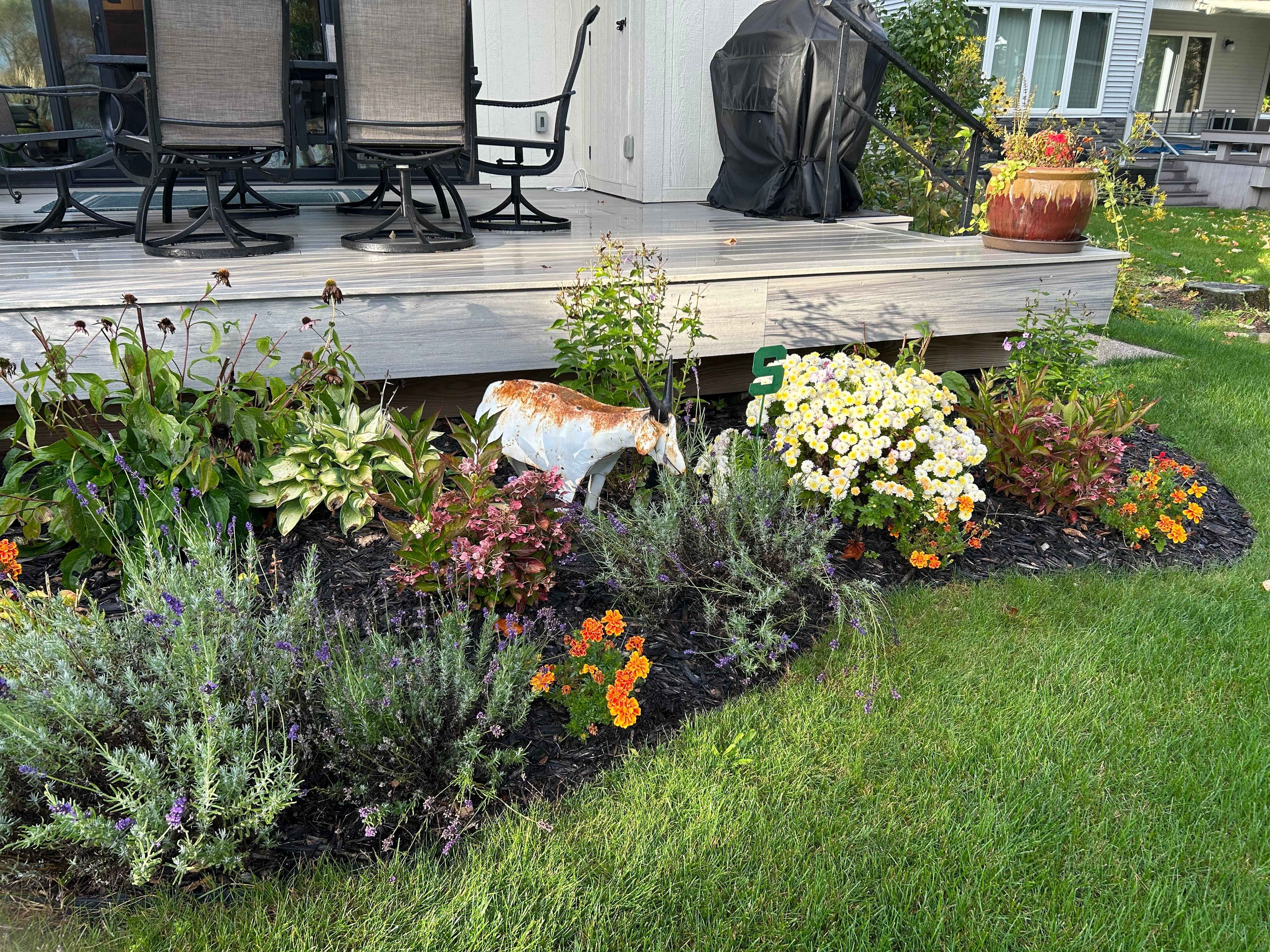 Beautiful landscaping 