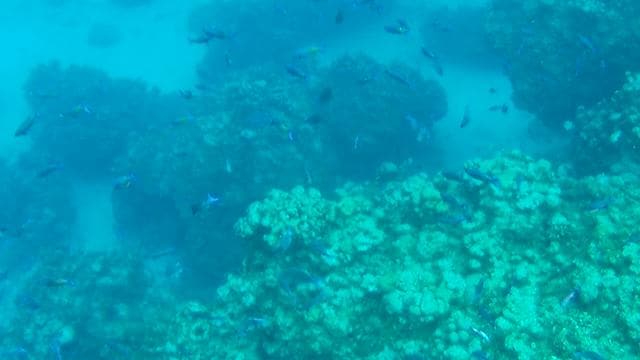 eden rock dive center