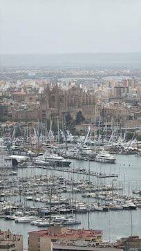 Palma de Mallorca bay with the beautiful gothic cathedral
