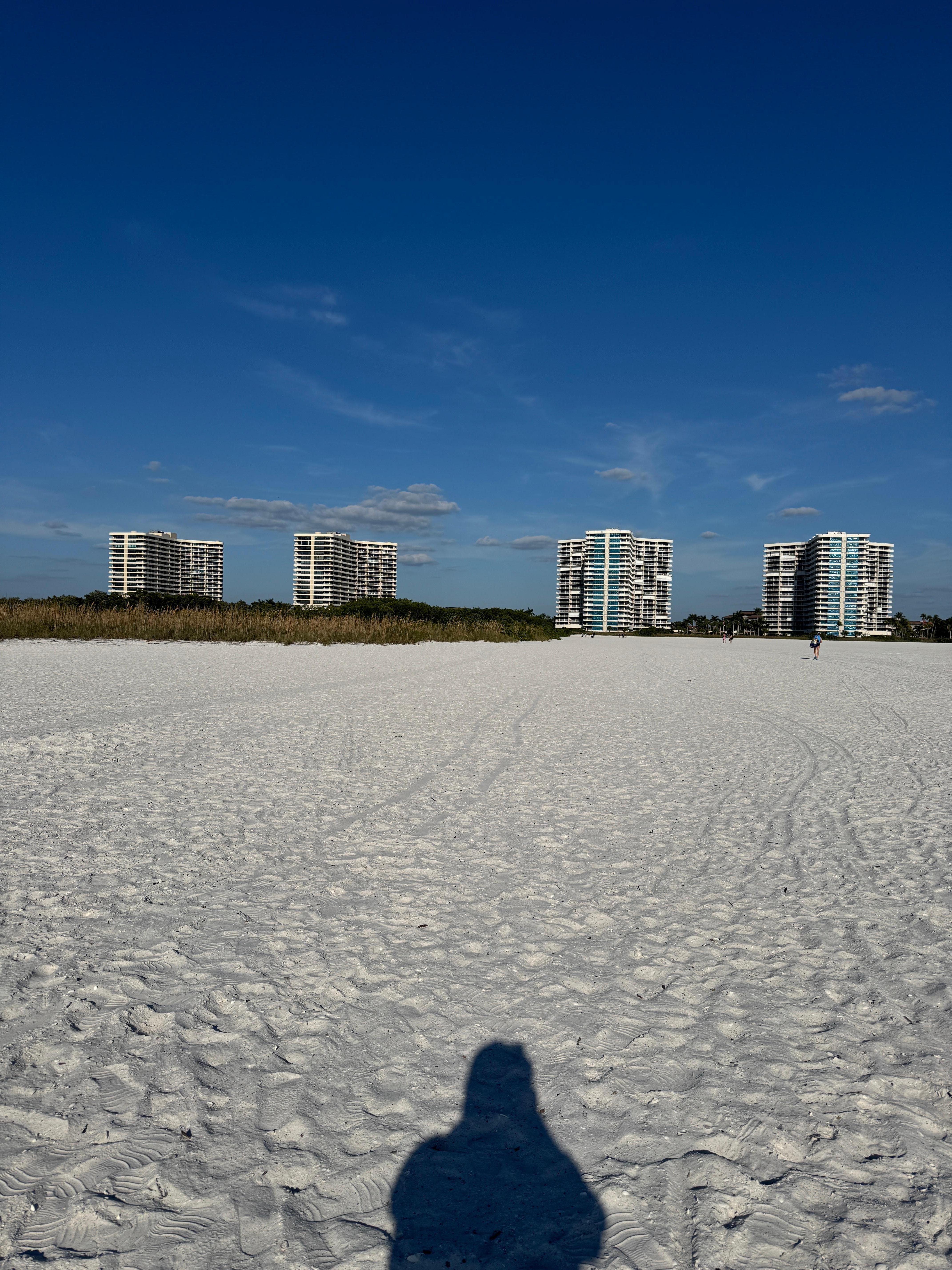 Towers from the beach
