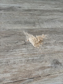 Sand